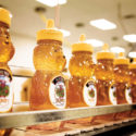 Barkman Honey Case Study, picture of honey bottles